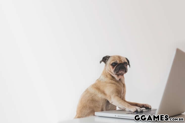 3 dicas ao escolher uma imagem para o seu site