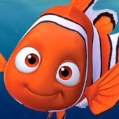 jose.silva