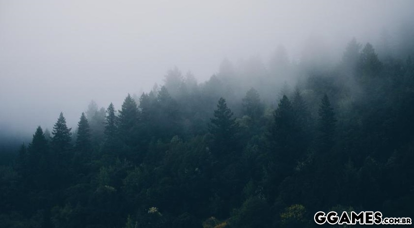 nevoa-na-floresta-papel-de-parede-1920x1080-11046_48.jpg.c4c33b01679e6cda7458c6e56eef5299.jpg