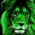 leao35