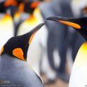 eduardo_mantovam