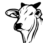RAMOS