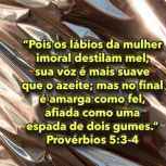 brunooo227