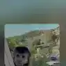 magoh