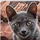 Zeca234