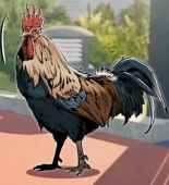 Ignis