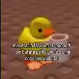 vitorpaz1765N