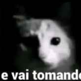 Pedro Thiago