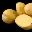 Godri