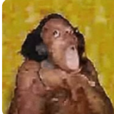 Drouglet