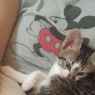 Tedinhoo12