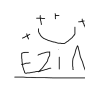 erikzin2014dev1