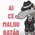 TemiDoro