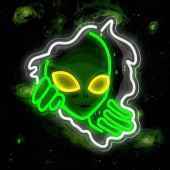 r3iss
