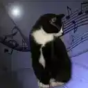 miamwo_
