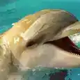 mmmmm