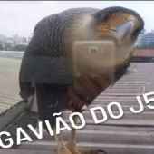 corazon_