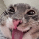 Michellyto