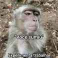 lkslks