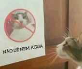 assasde