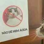 assasde