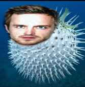 Sam-_-