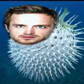 Sam-_-