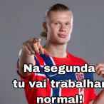 hdjdjdj
