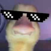matheuspaes