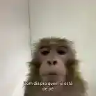 dri