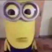 zonKy