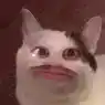 Vitorrss12