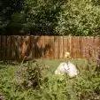 sfsddf