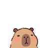 manoel_1
